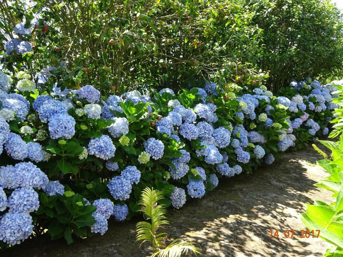 Вілла Quinta Do Sol Poente Feteiras Екстер'єр фото
